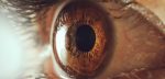 NMOSD MS and OCT/Neuromyelitis News/close-up of person's eye