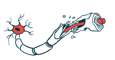 This illustration shows damage to the myelin sheath that surrounds and protects nerve fibers.