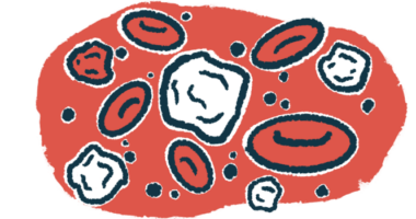 An illustration of white blood cells, part of a person's immune system.