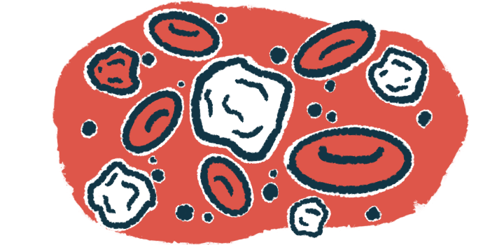 An illustration of white blood cells, part of a person's immune system.