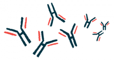 Illustration shows microscopic view of antibodies.