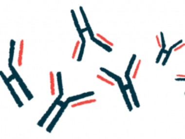 Illustration shows microscopic view of antibodies.