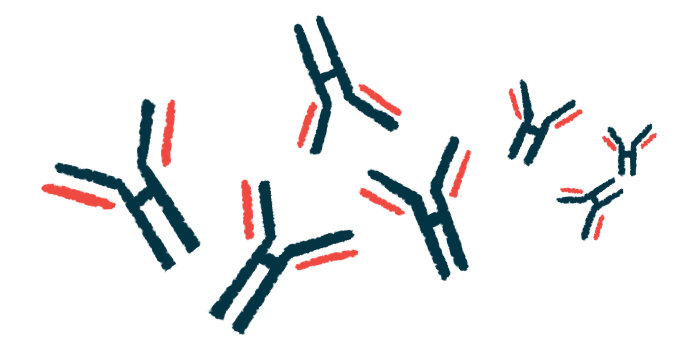 A microscopic view of antibodies, protective proteins produced by the immune system, is shown in this illustration.