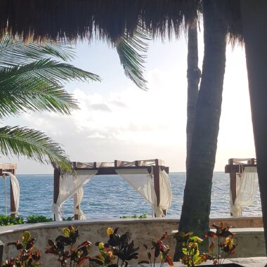 We see a some vegetation on our side of a low gray and tan stone wall. Palm trees are on the left and right. On the other side, just in front of the ocean, are what appear to be a series of dark, wooden-frame units, with white curtains on each corner, much like a canopied bed.